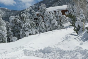 Ironwood Court, Pine Mountain Club