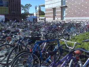 Bikes at USC. They don't all drive Beemers.